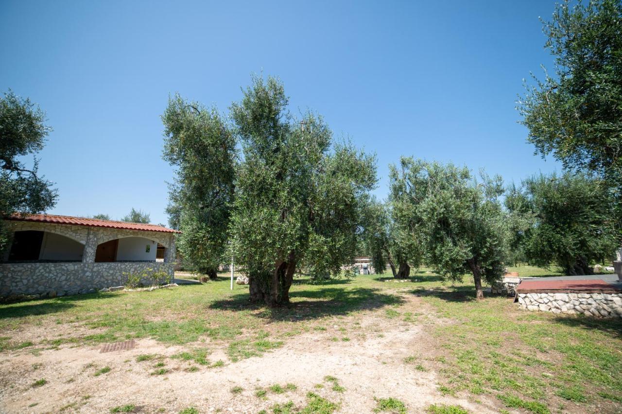 Coppola Rossa Relax Bed & Breakfast Vieste Bagian luar foto