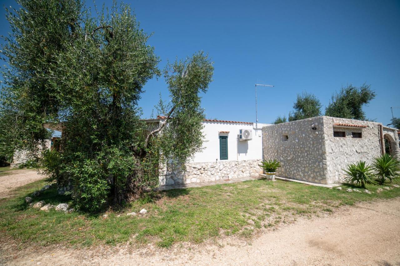 Coppola Rossa Relax Bed & Breakfast Vieste Bagian luar foto
