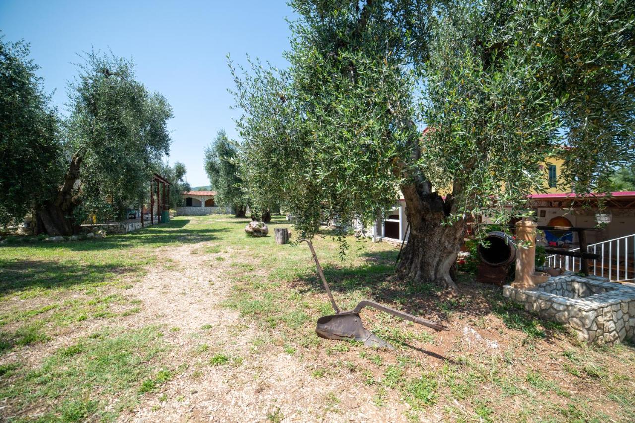Coppola Rossa Relax Bed & Breakfast Vieste Bagian luar foto