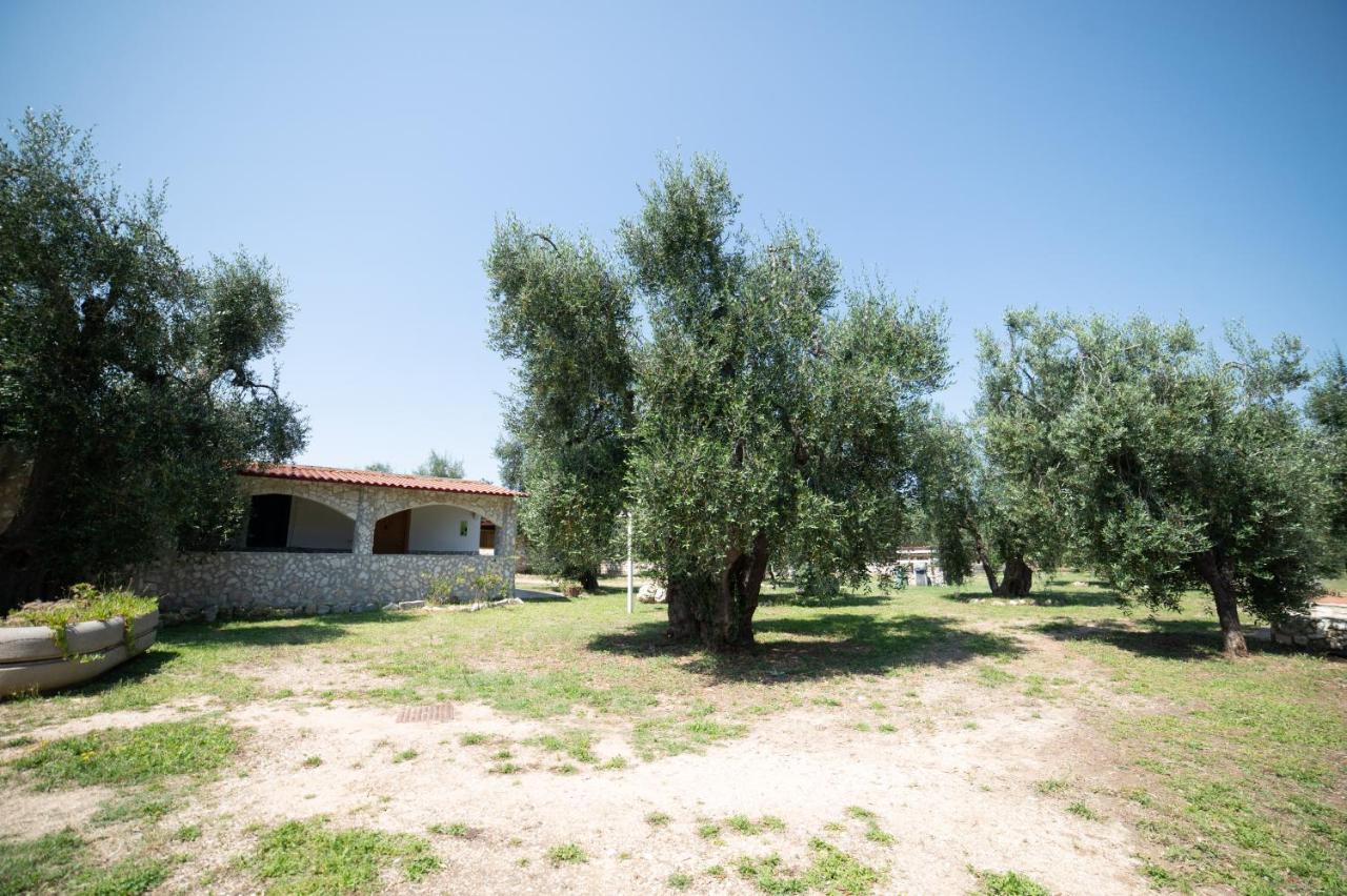 Coppola Rossa Relax Bed & Breakfast Vieste Bagian luar foto