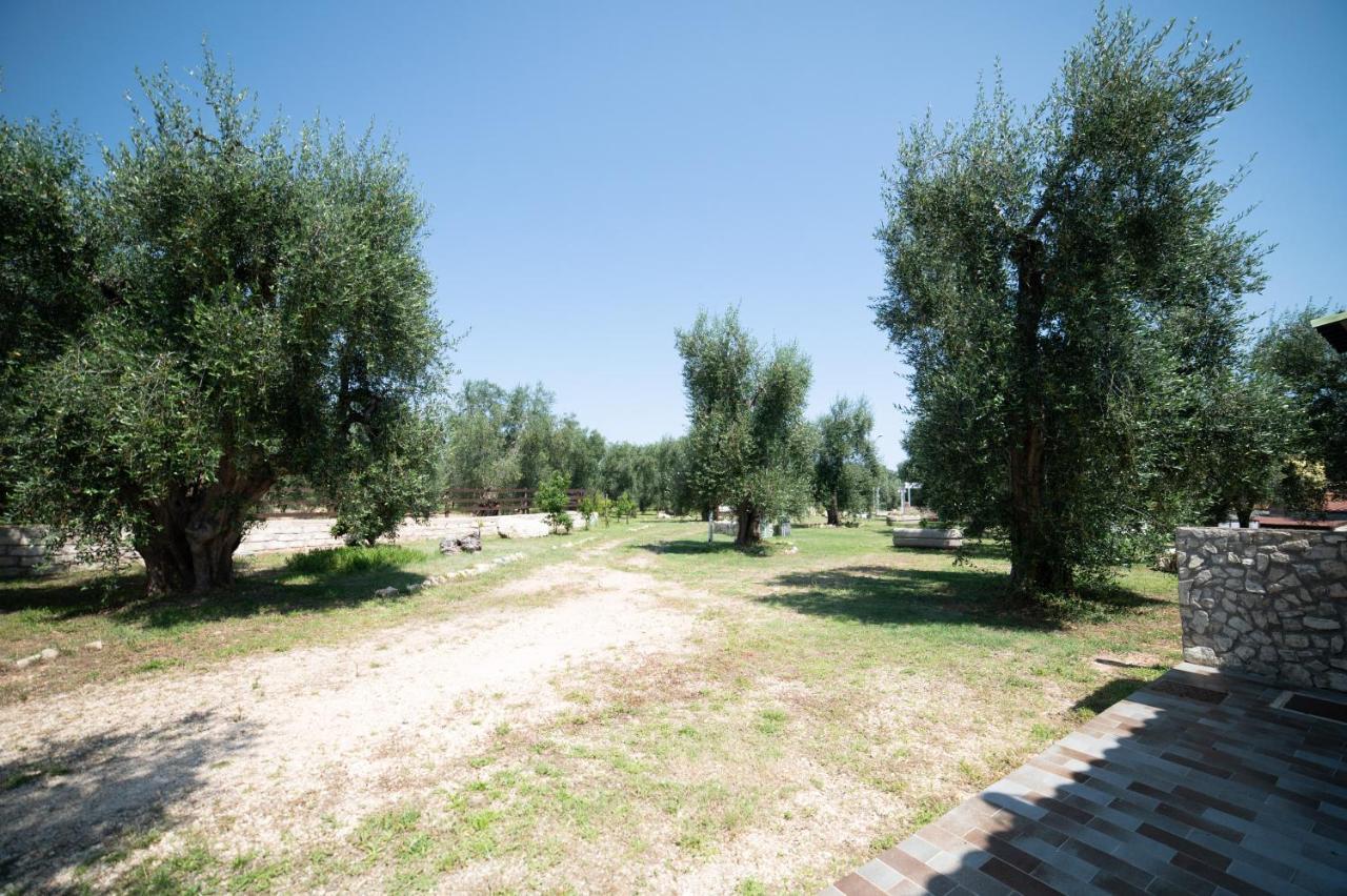 Coppola Rossa Relax Bed & Breakfast Vieste Bagian luar foto