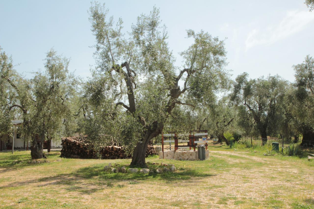 Coppola Rossa Relax Bed & Breakfast Vieste Bagian luar foto